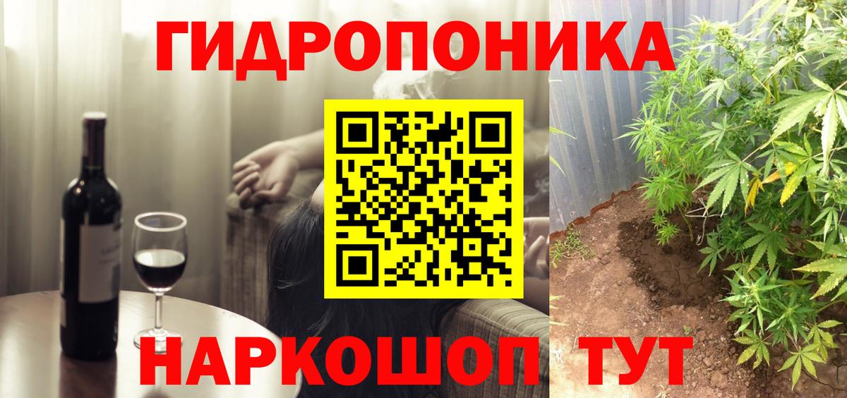 Конопля тримм  Канабис план  Вход с VPN  Бошки марихуана SATIVA & INDICA  Конаково 